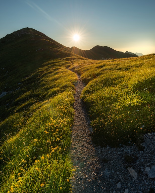 A scenic forest trail without an uphill climb with views of water bodies during the monsoon.  Copy